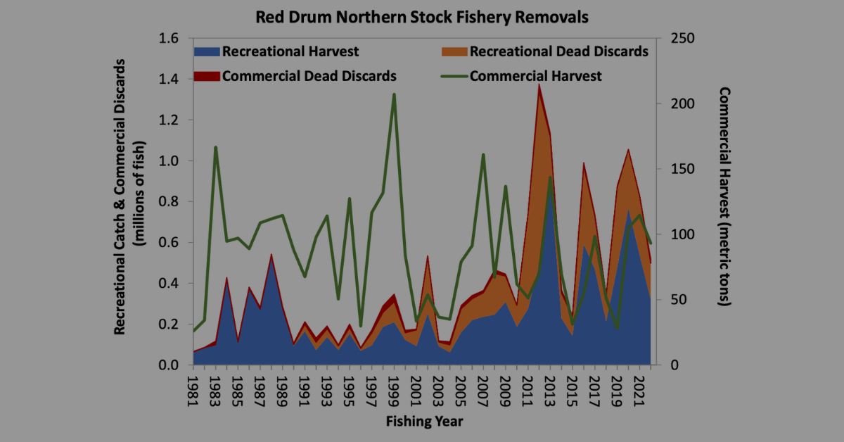 red drum