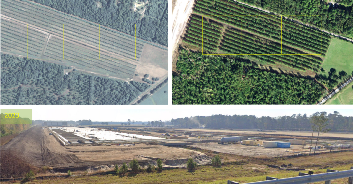 Research_ Coastal Georgia is losing tree canopy