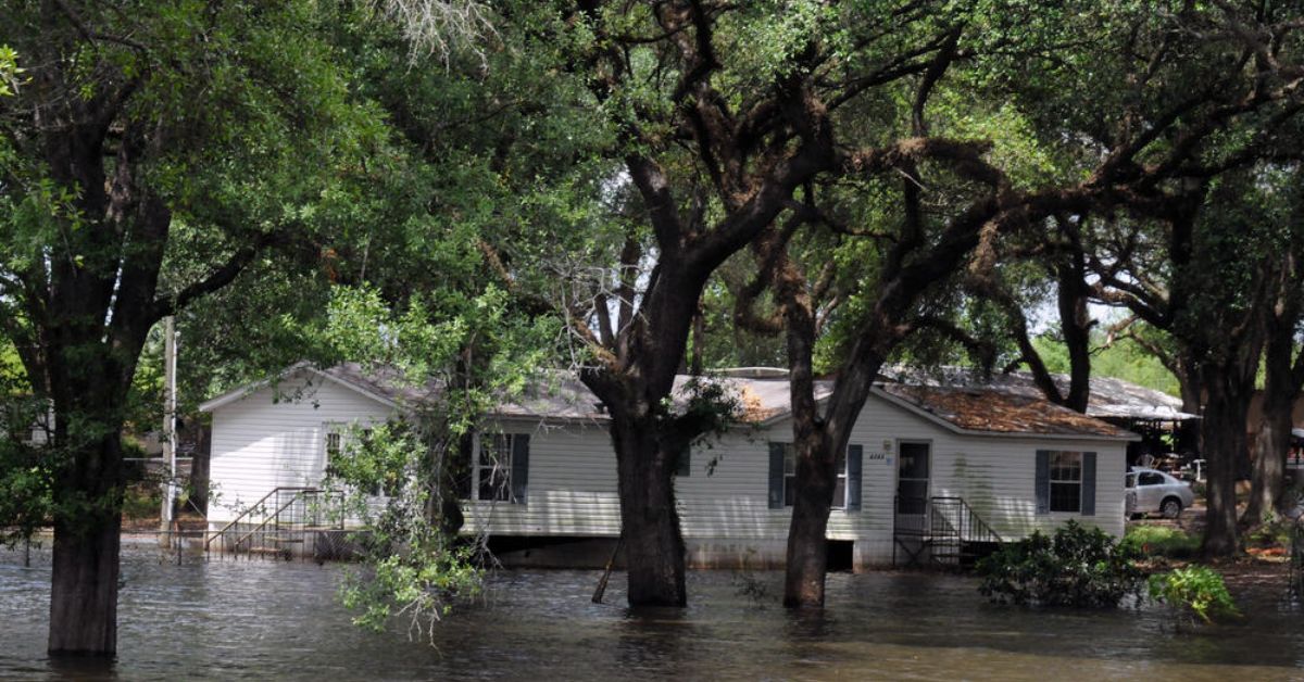 Georgia ranks among most expensive states for future flood damage costs, new study finds