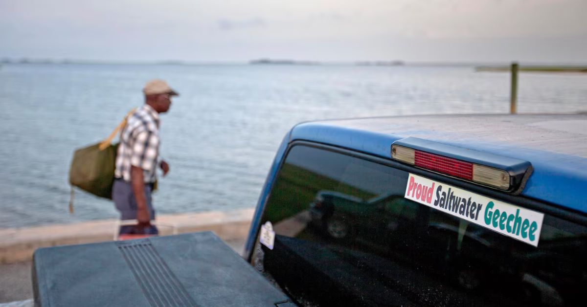Gullah Geechee-led referendum on Sapelo Island_ What you need to know