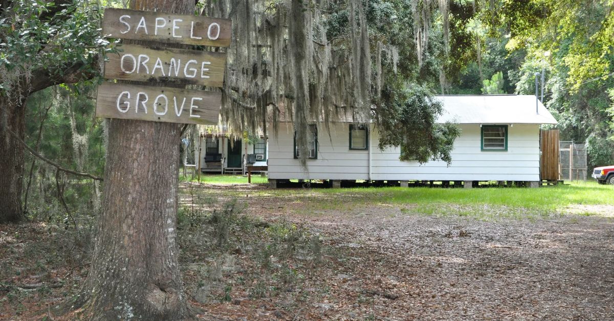 Sapelo referendum heads to Georgia Supreme Court