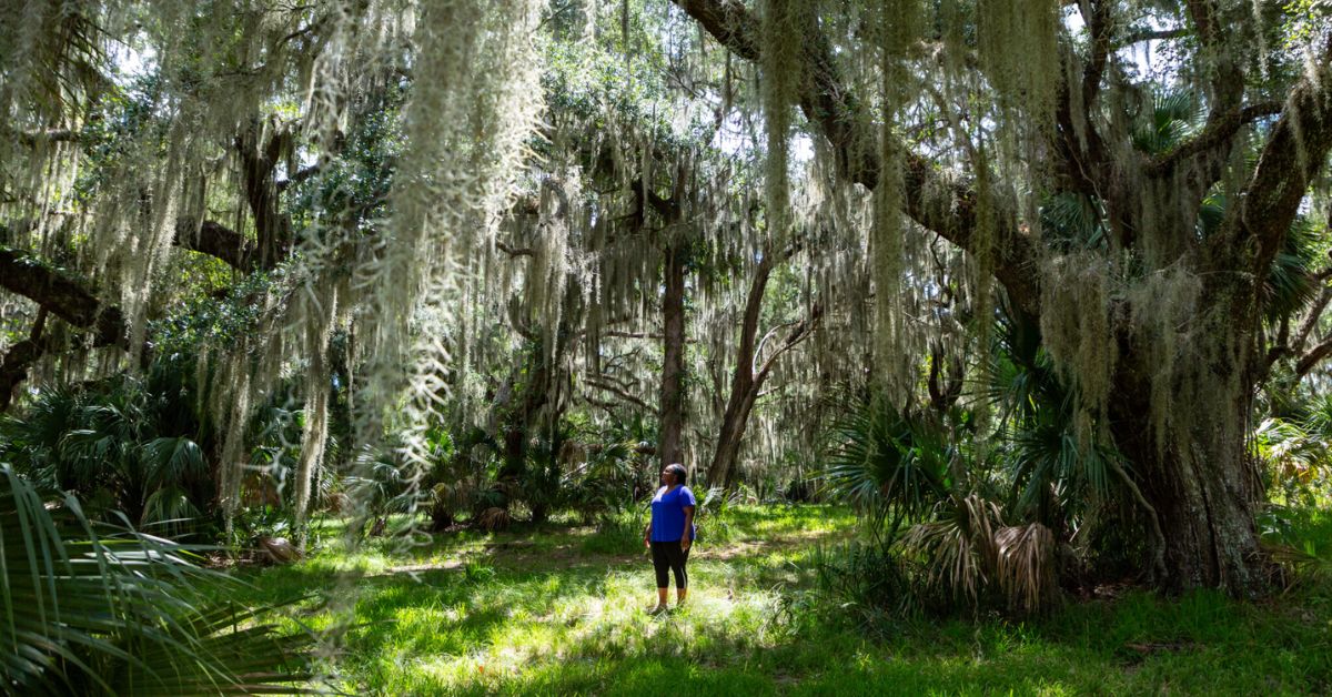 ‘Griot’s Garden’ podcast unearths stories from Sapelo