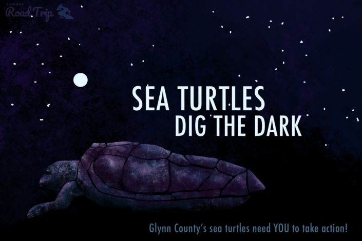 Sea_Turtles_Dig_The_Dark 2 postcard