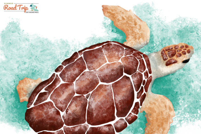 Turtle_Friendly_Summer postcard