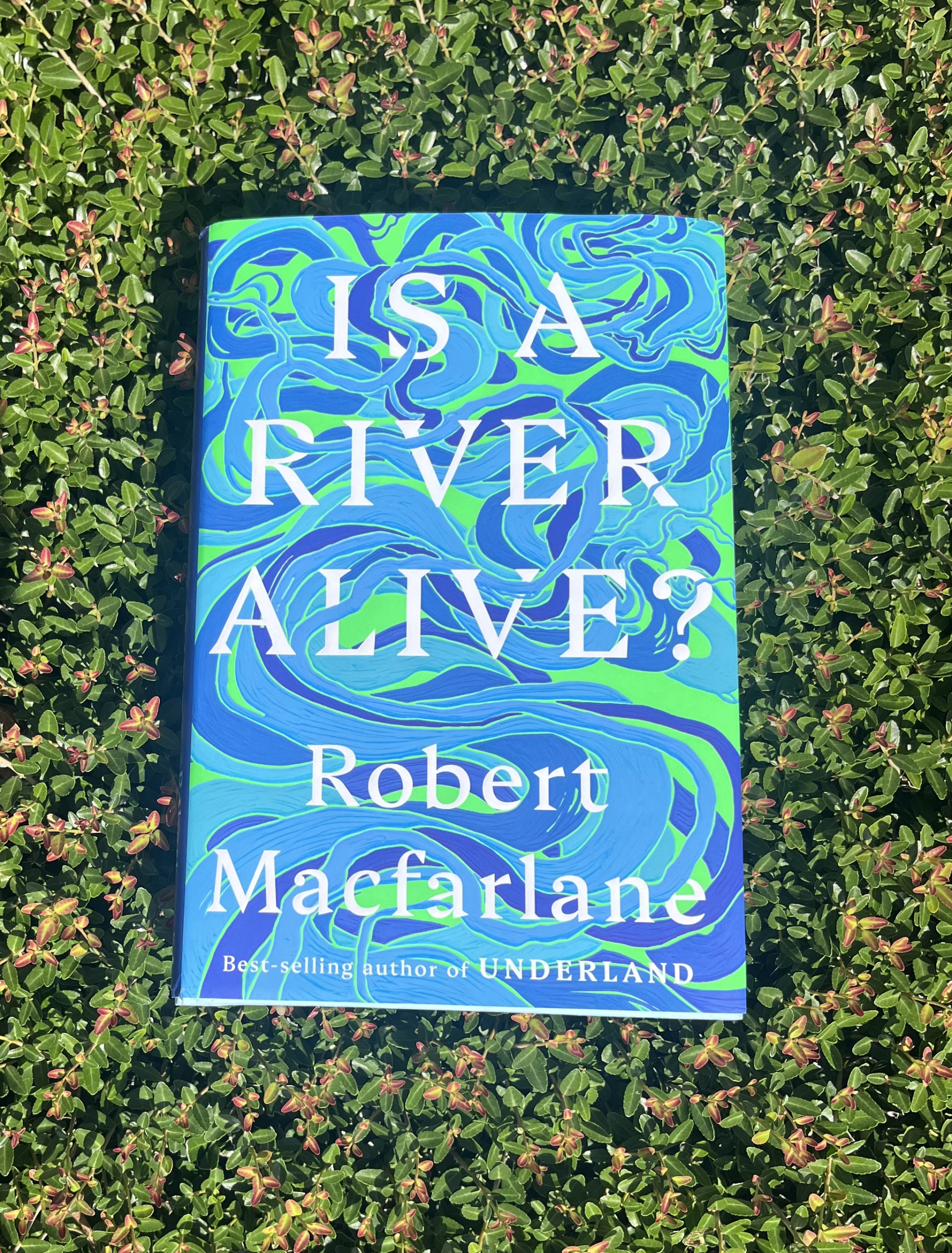 Book Club River Alive