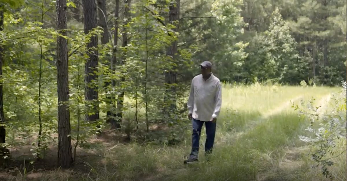 The heir's property_ one man's journey to reclaim family land in the American South
