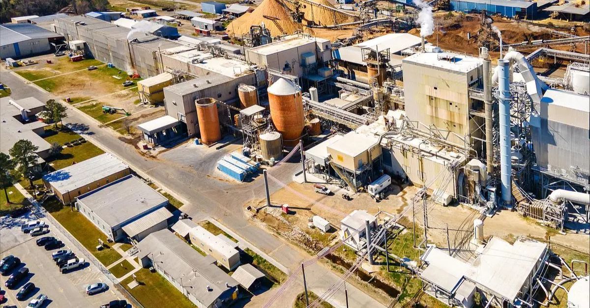 Georgia timber industry faces struggle as large mills close
