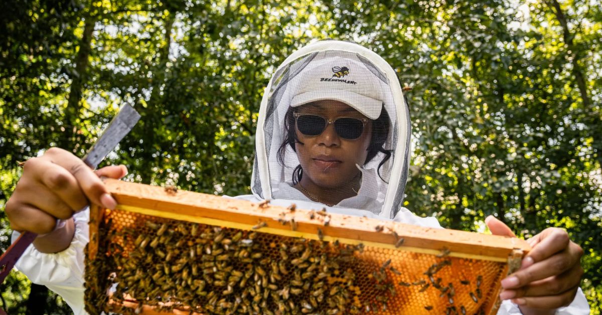 Honey bees helped this coastal advocate; she’s returning the favor