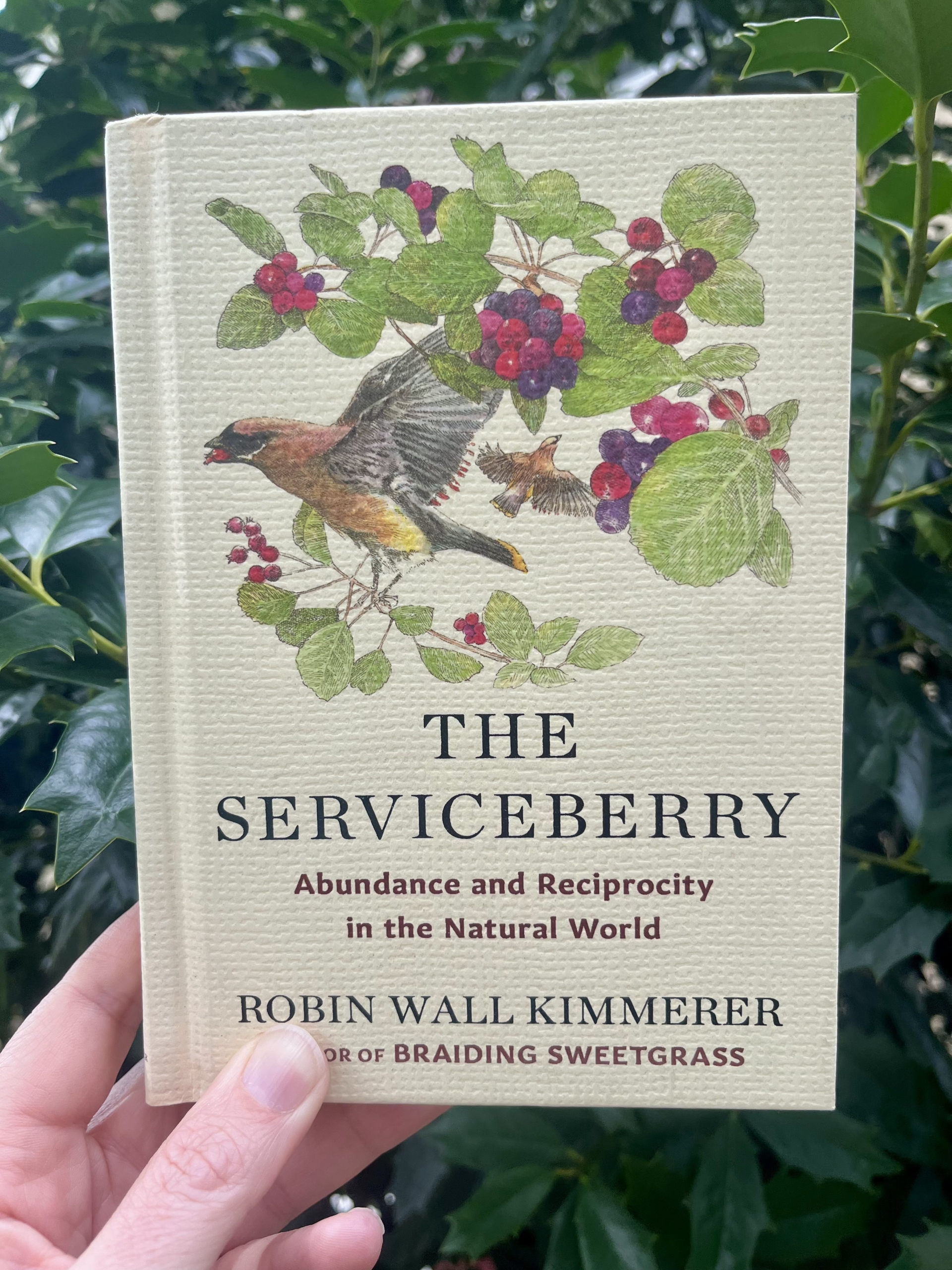 The Serviceberry