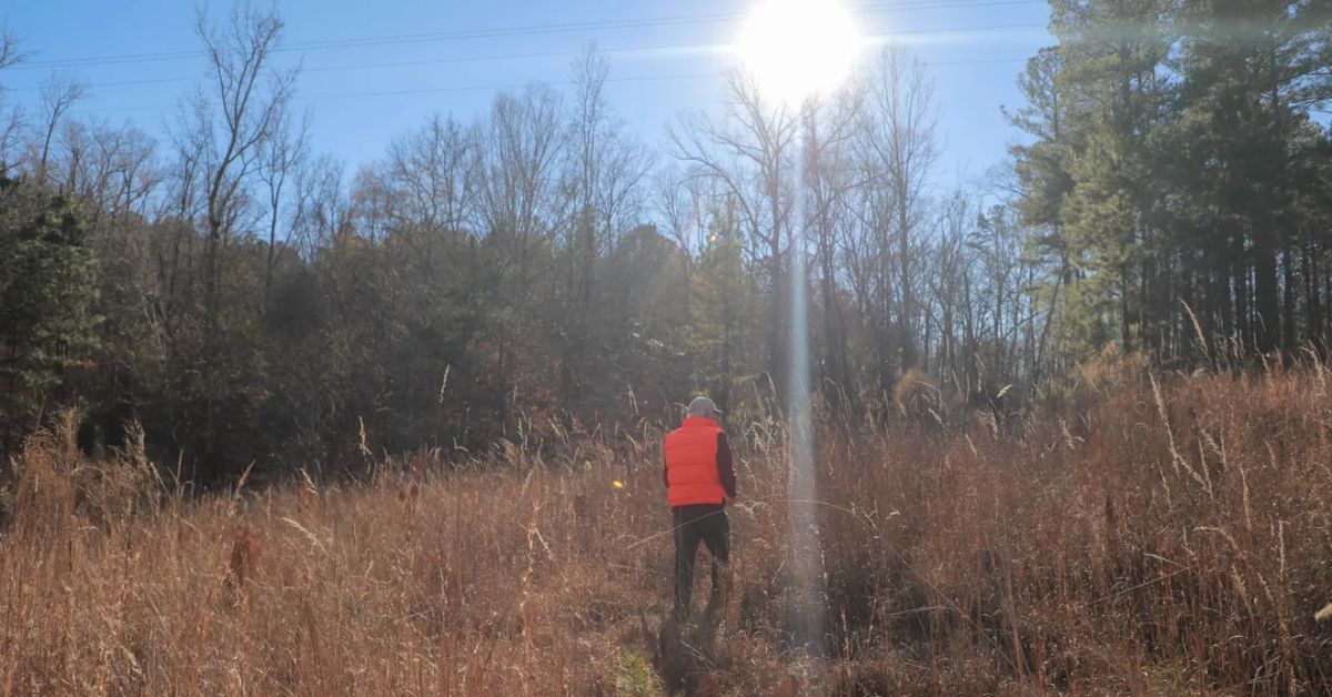 A pipeline will cut through Georgia. Whose land will be taken