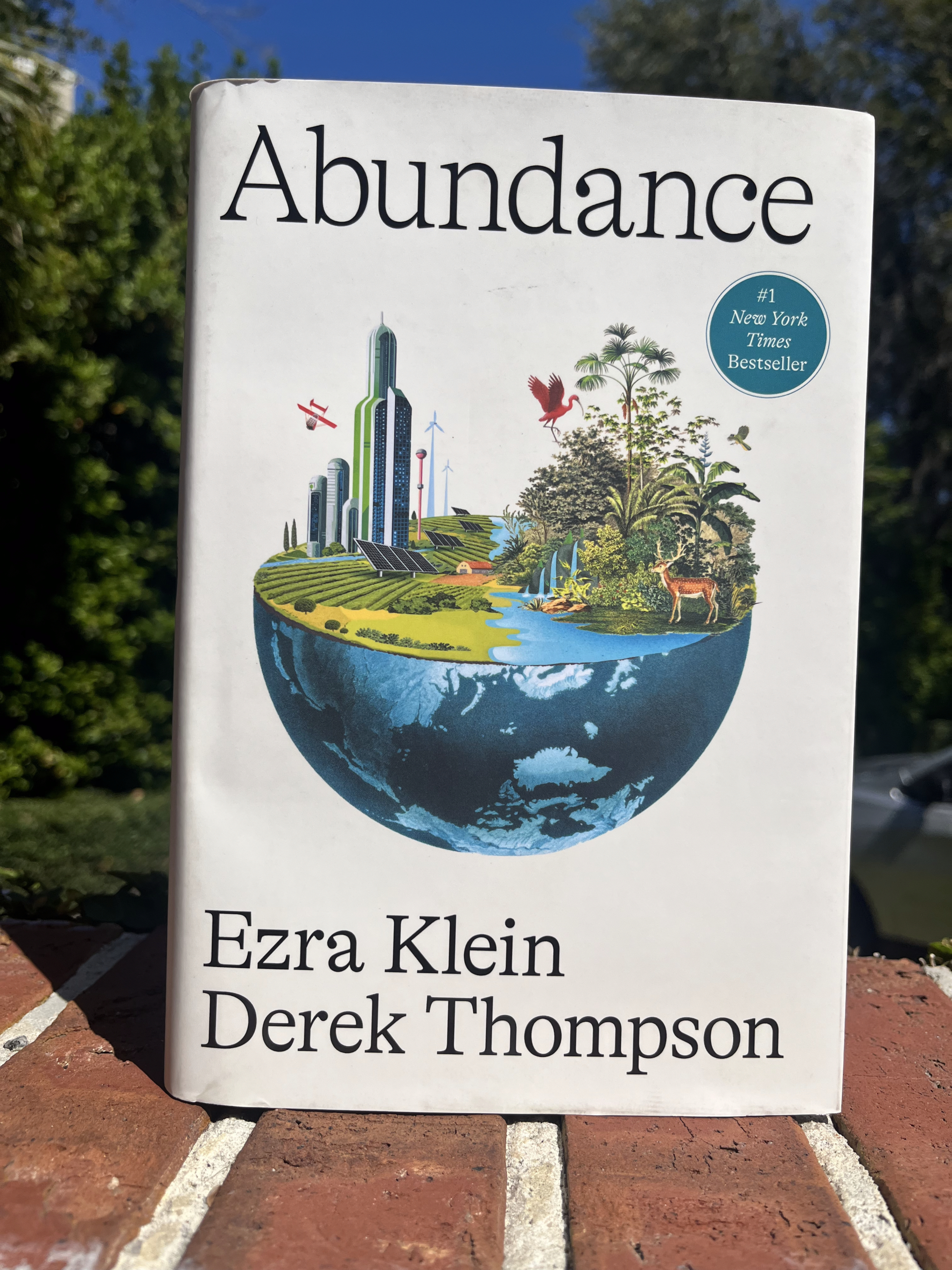 Abundance