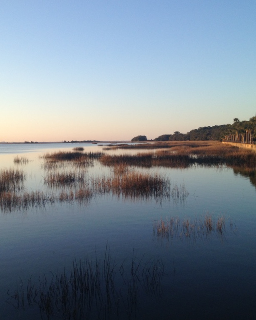 Conservation Marshland Portrait