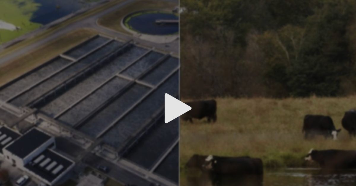 Contaminated_ The Carpet Industry’s Toxic Legacy