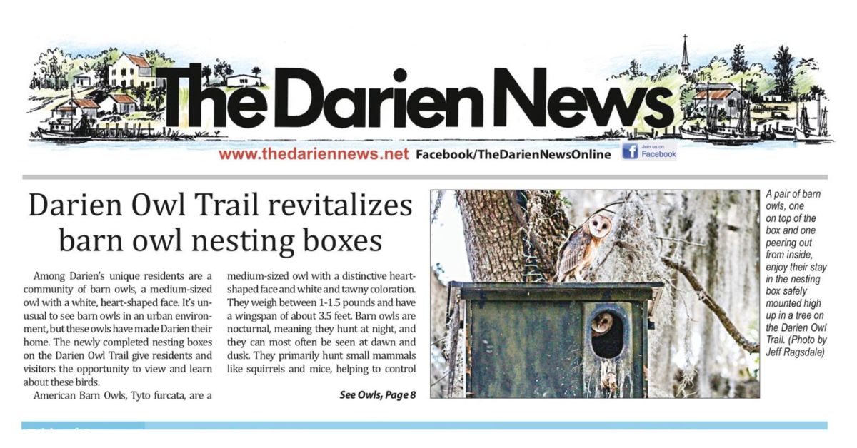 Darien News Owl