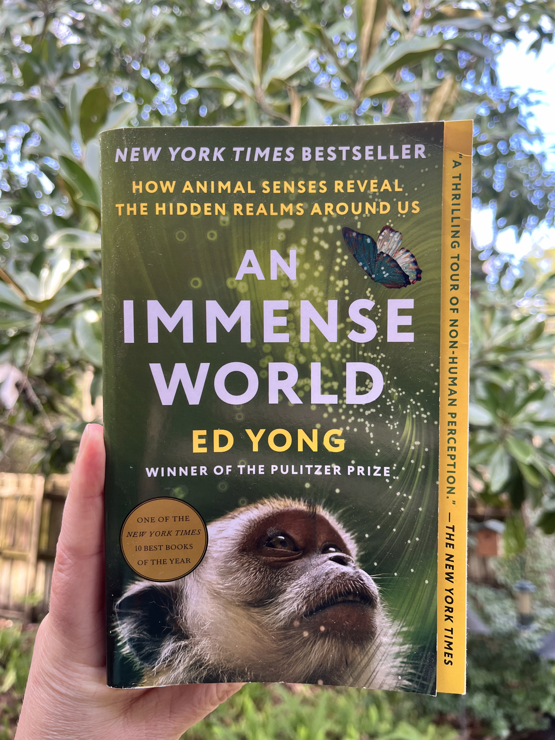 An Immense World