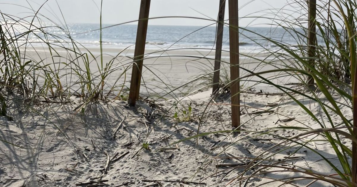 Planning commissioners debate beach lighting ordinance