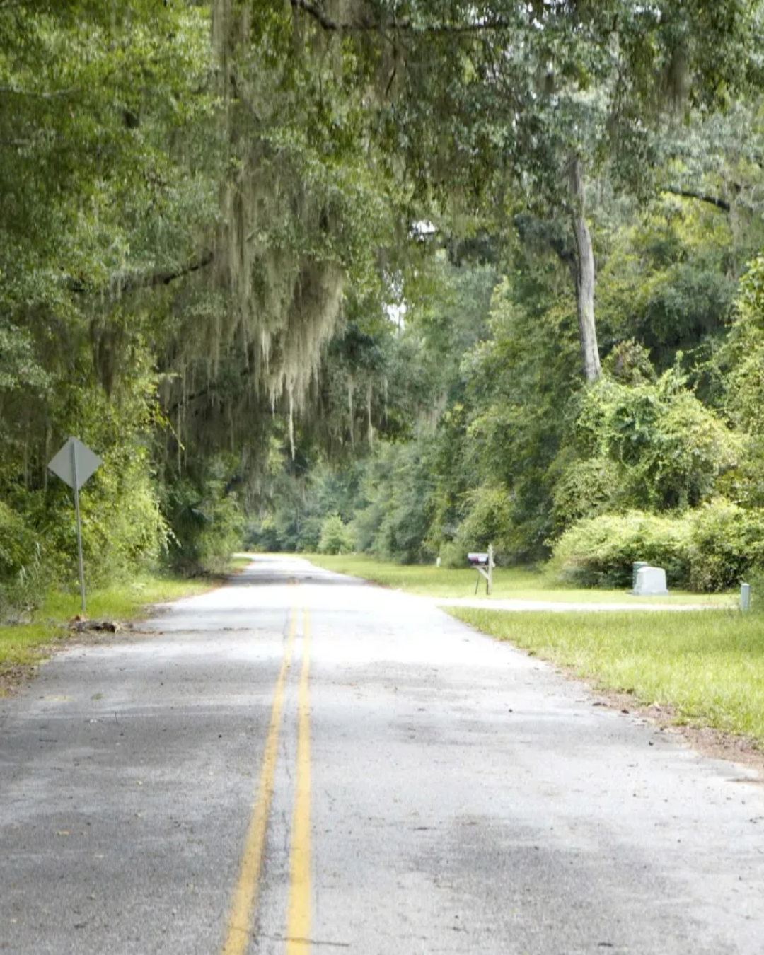 Rural road portrait