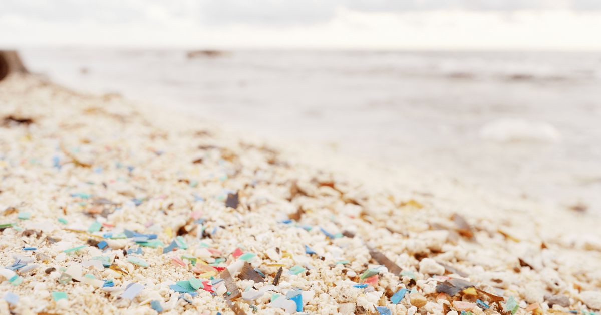 Microplastics are Everywhere — Here’s Why That Matters