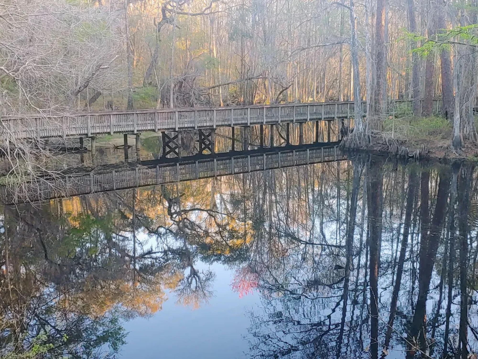 Savannah News - Tom Triplett Sav OGeechee Canal