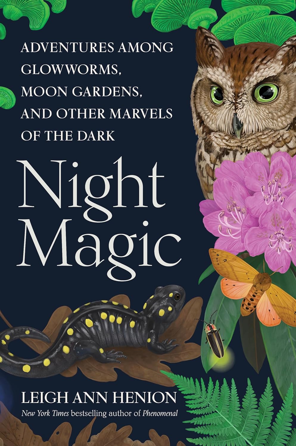night magic